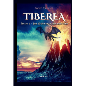 Tiberea